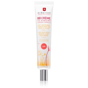 Erborian BB Cream lotiuni tonice pentru piele perfectă în căutarea SPF 20 big pack