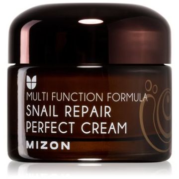 Mizon Multi Function Formula  Snail cremă pentru față cu extract de melc 60%