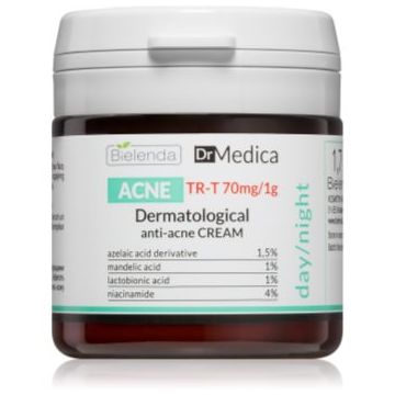 Bielenda Dr Medica Acne cremă pentru față pentru tenul gras, predispus la acnee