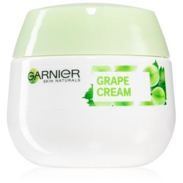 Garnier Botanical cremă hidratantă pentru piele normală și mixtă