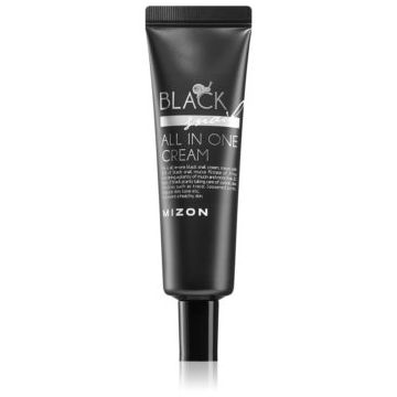 Mizon Black Snail All in One cremă pentru față cu extract de melc 90%