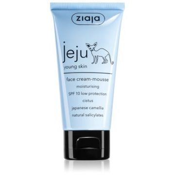 Ziaja Jeju Young Skin crema hidratanta usoara pentru piele tanara