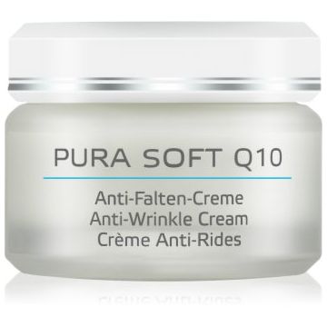 ANNEMARIE BÖRLIND PURA SOFT Q10 crema hidratanta anti-rid