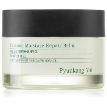Pyunkang Yul Calming Moisture Repair Balm Balsam de buze regenerator di hidratant pentru piele sensibilă Pyunkang Yul Calming Moisture Repair Balm Balsam de buze regenerator di hidratant pentru piele sensibilă