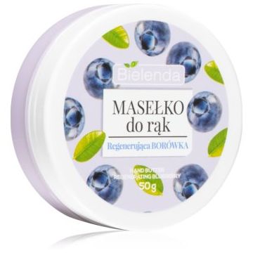 Bielenda Blueberry unt de maini