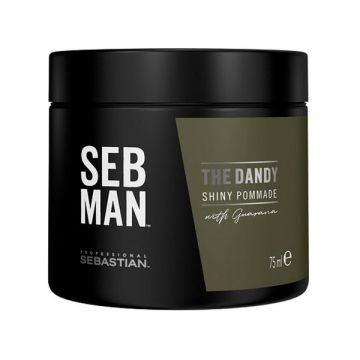 Pomada de Par pentru Definire si Fixare - Sebastian Prefessional SEB Man The Dandy Pomade, 75 ml