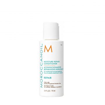 Hair moisture repair conditioner 70 ml