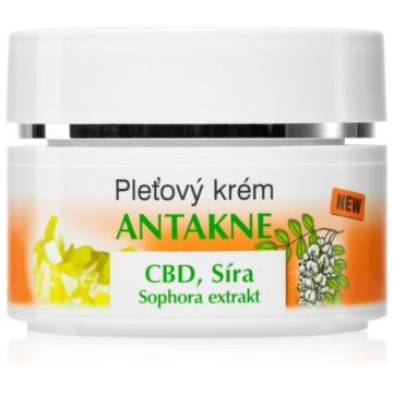 Bione Cosmetics Antakne cremă pentru față cu sulf