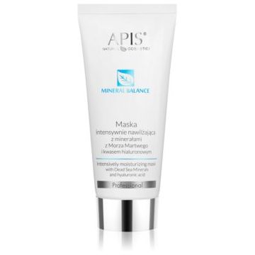 Apis Natural Cosmetics Hydro Balance Professional mască facială intens hidratantă cu minerale din Marea Moartă