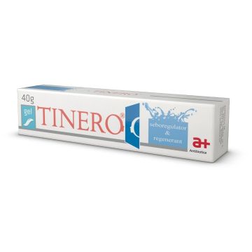 Tinero gel, 40 g, Antibiotice SA