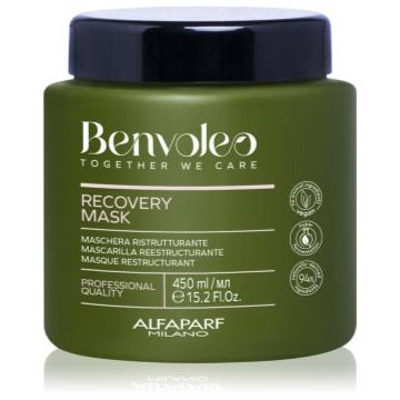 Alfaparf Milano Benvoleo Recovery Masca regeneratoare pentru par deteriorat