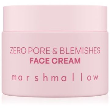 Nacomi Zero Pore & Blemishes cremă pentru față impotriva imperfectiunilor pielii