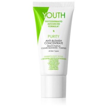 YOUTH Purity Anti-Blemish Concentrate tratament topic pentru acnee
