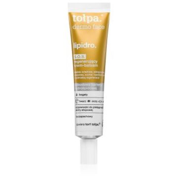Tołpa Dermo Face Lipidro balsam regenerator pentru fata si zonele sensibile ale pielii
