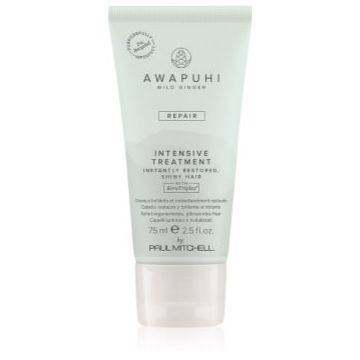 Paul Mitchell Awapuhi Wild Ginger Repair Intevsive Treatment tratament intensiv pentru par pentru par deteriorat