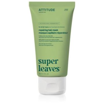 Attitude Super Leaves Fabulous Oils Blend masca hranitoare pentru par normal spre uscat