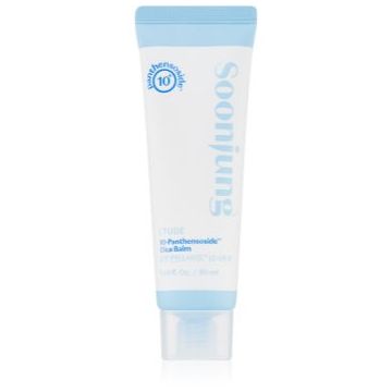 ETUDE SoonJung 10-Panthensoside Cica Balm balsam calmant reface bariera protectoare a pielii