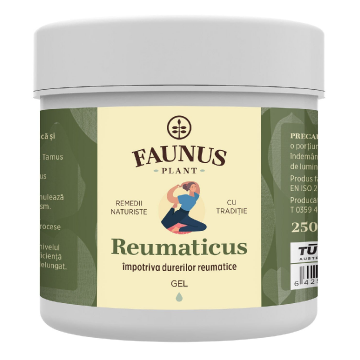 Gel Reumaticus pentru confortul articulatiilor si al muschilor, 250 ml, Faunus Plant