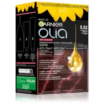 Garnier Olia Big Kit Culoare permanenta pentru par