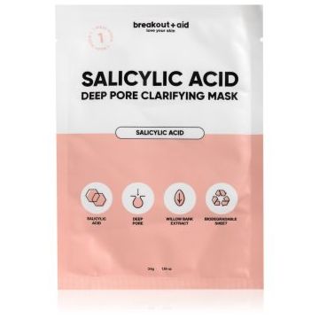 breakout + aid Salicylic Acid Deep Pore Clarifying Mask masca pentru celule cu acid salicilic