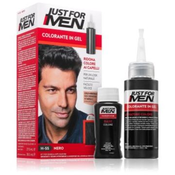 Just for Men Color Kit vopsea de par tonifianta pentru barbati
