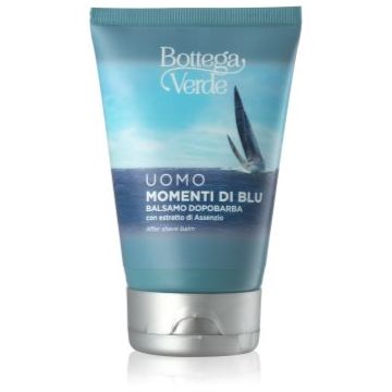 Bottega Verde Momenti Di Blu balsam hidratant dupa barbierit