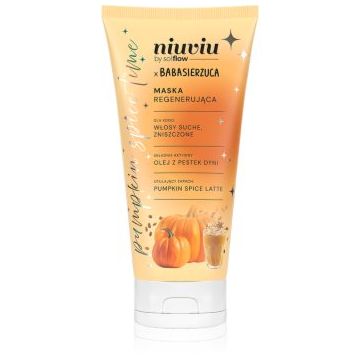 so!flow Pumpkin Time Regenerating Mask masca pentru regenerare pentru păr uscat și fragil