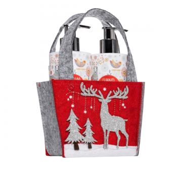 Set Glittering X-Mas Sapun lichid 250ml + Lotiune de maini 250ml, Vivian Gray