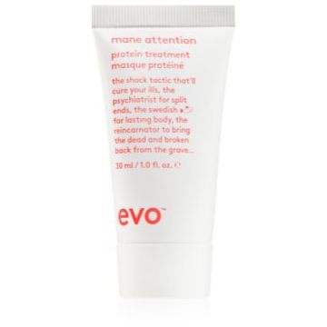 EVO Mane Attention Protein Treatment masca hidratanta cu conținut ridicat de proteină