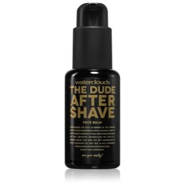 Waterclouds The Dude After Shave Balm balsam după bărbierit