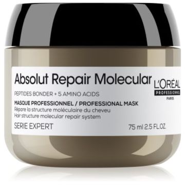 L’Oréal Professionnel Serie Expert Absolut Repair Molecular mască profund fortifiantă pentru păr