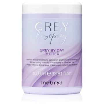 Inebrya Greylosophy Grey By Day Butter Masca de par pentru par grizonat